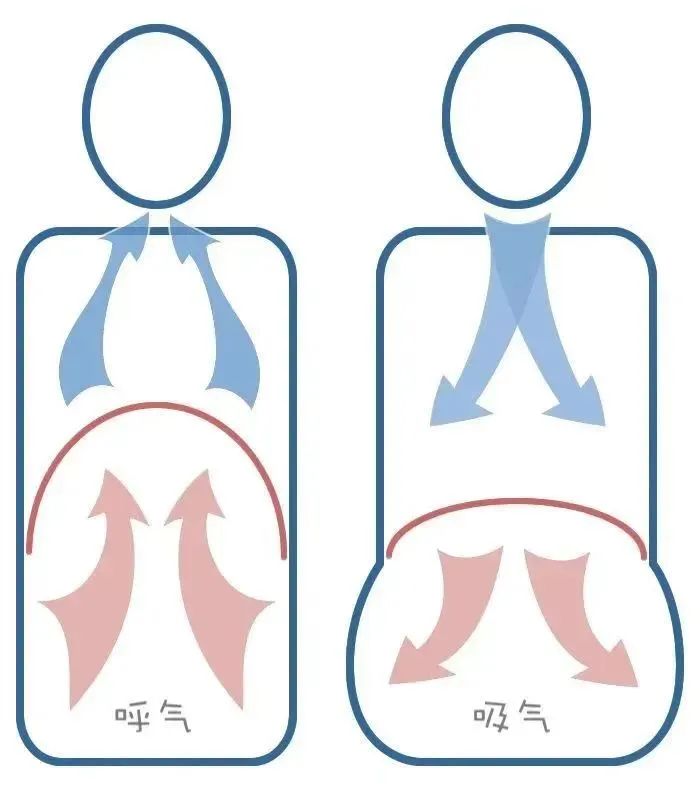 盆底訓(xùn)練儀3.jpg